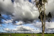 德國GSWC軸承 6801-2RSR 軸承 6801-2RSR 尺寸參數報價